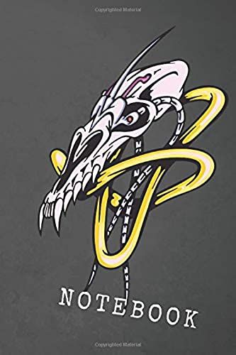 Skull Notebook: Skull Graphics Design, Journal, Notebook, Diary, School, Work, Notebook For Drawing (110 Pages, Blank, 6 X 9, Cream Paper)