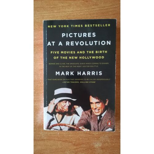 Pictures At A Revolution