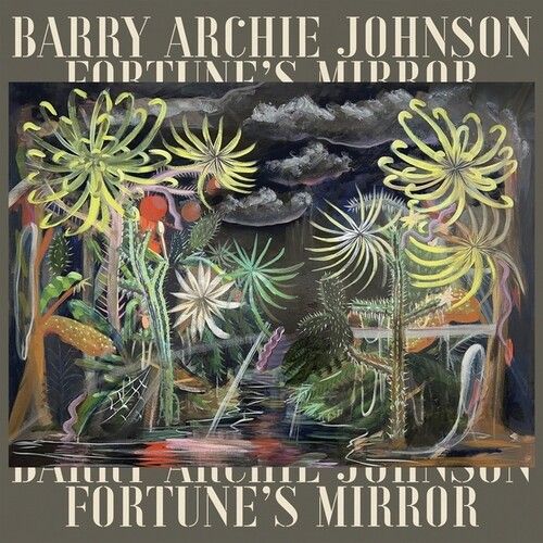 Barry Archie Johnson - Fortune's Mirror [Vinyl Lp]