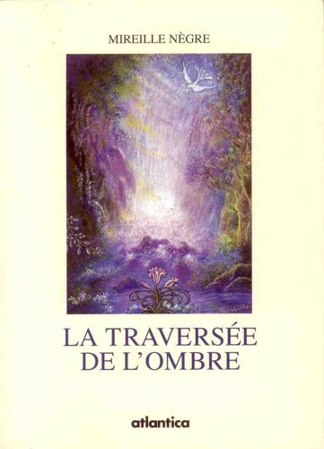 La Traversée De L'ombre - Roman