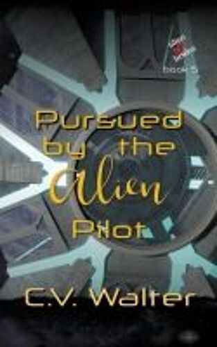 Pursued By The Alien Pilot