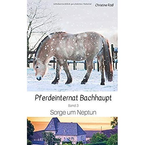 Sorge Um Neptun (Pferdeinternat Bachhaupt)