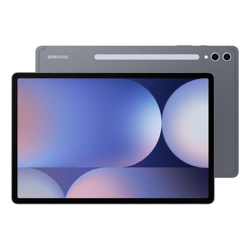 Tablette Samsung Galaxy Tab S10+ Wi-Fi 256 Go / 12 Go - 12,4 pouces - Gris