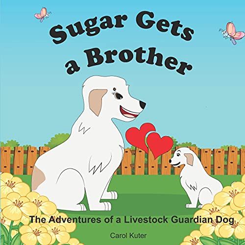 Sugar Gets A Brother: The Adventures Of A Livestock Guardian Dog