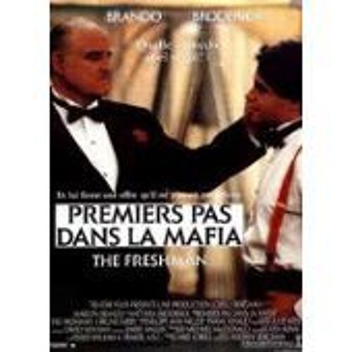 Premiers Pas Dans La Mafia - The Freshman - Marlon Brandon - Matthew Broderick - Andrew Bergman - Affiche De Cinéma Pliée 60x40 Cm