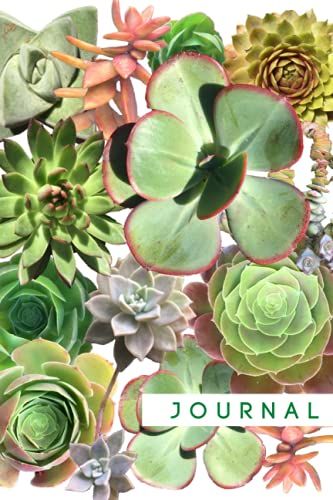 Journal: Lined Notebook - Succulent Garden - 6 X 9 Inches