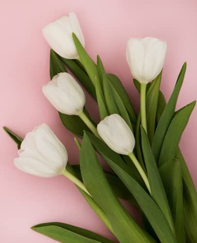 Journal - Simple Stationary: 100 Pages - Cream Colored Journal - Tulips - Truly Yuli