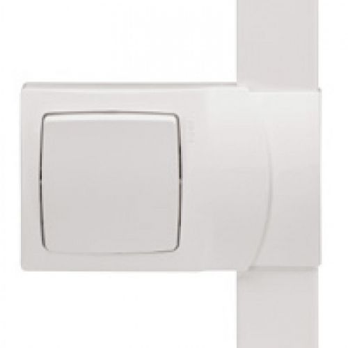 cadre 1 poste pour moulure dlplus hauteur 20 mm - legrand 031408