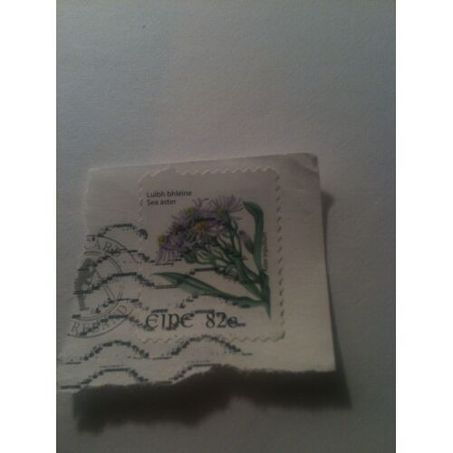 Timbre Irelandais 82c 