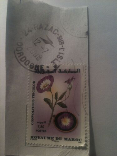 Timbre Marocain 7,80 - Convolvulus Tricolor