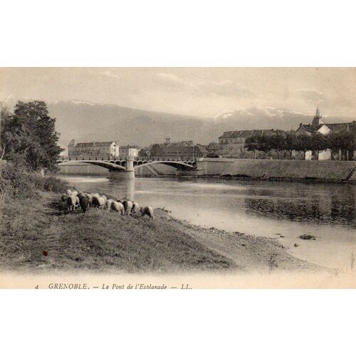 Carte Postale Ancienne - Grenoble - Le Pont De L'esplanade Avec Un Troupeau De Moutons Sur La Berge