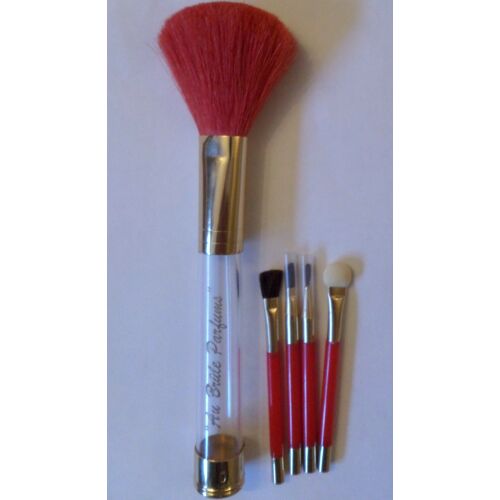 Palette De Maquillage De Voyage  - Pinceaux À Maquillage 