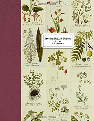 Vintage Botany Prints: Vol. 30