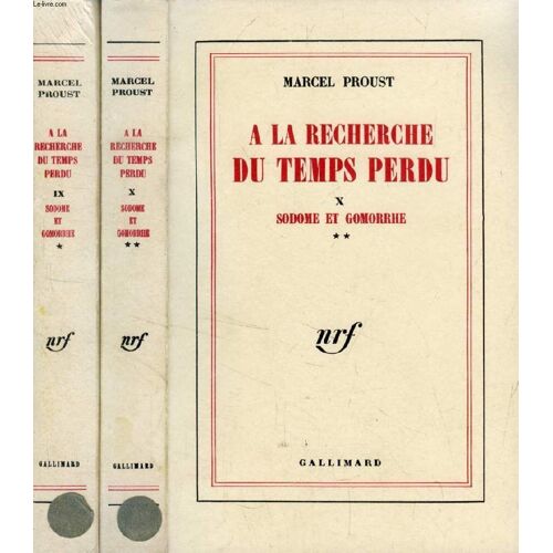 A La Recherche Du Temps Perdu, Tomes Ix-X, Sodome Et Gomorrhe, 2 Parties