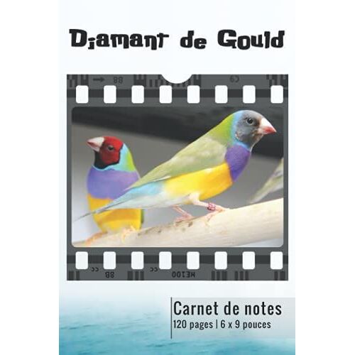Diamant De Gould: Carnet De Notes Ligné Pour Passionné(E) Passionné D'oiseaux | 120 Pages | 6x9 Pouces