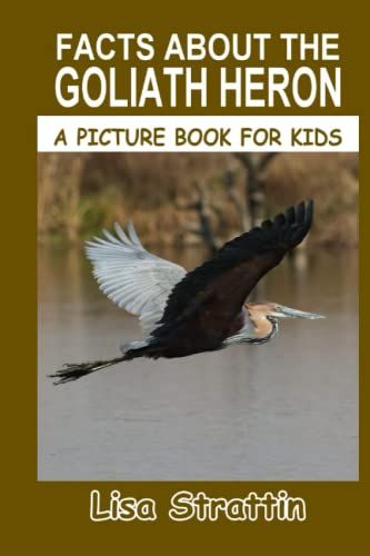 Facts About The Goliath Heron (A Picture Book For Kids)