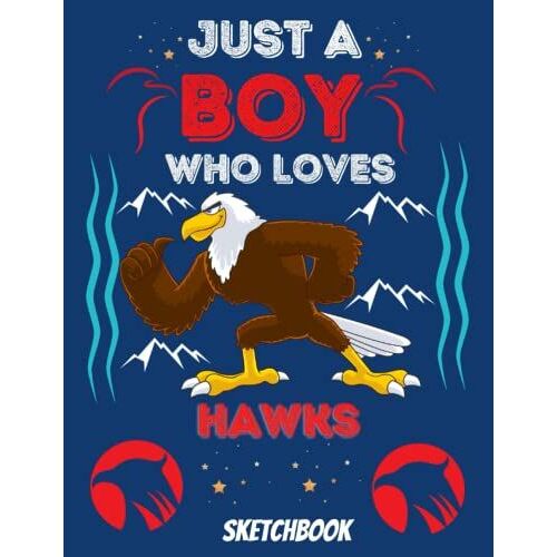Just A Boy Who Loves Hawks Sketchbook: Blank Drawing, Doodling And Painting Book For Kids Loving Hawks, 108 Pages, Size 8,5'' X 11''