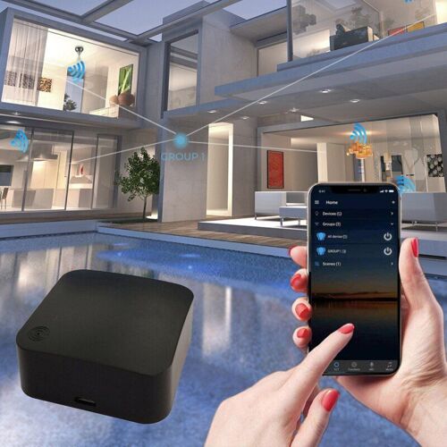 maison intelligente RM BASIC 2.4G G, passerelle 2.4G, télécommande, commande vocale, fonctionne avec Alexa Google Home Assistant