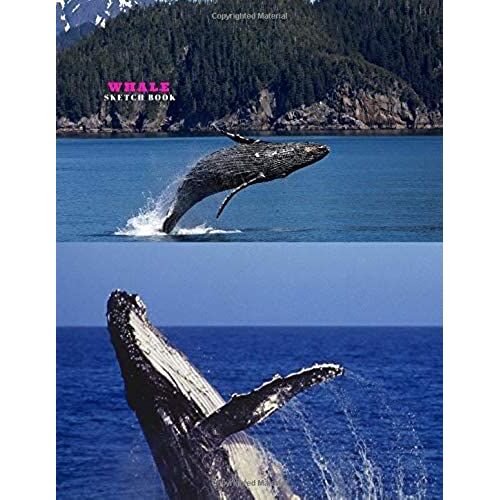 Whale Sketch Book: Practice Painting, Drawing, Writing, Sketching Or Creative Doodling.