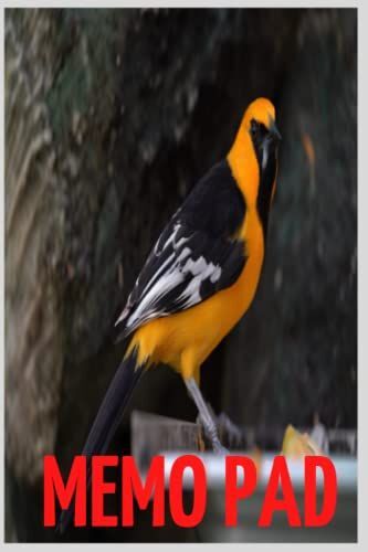 Memo Pad