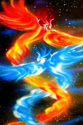 Journal / Notebook / Diary: "Fire And Ice"