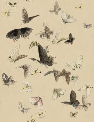 Dot To Dot Notebook Vintage Cover: Dot To Dot Journal For Writing Designing And As Diary| Vintage Butterfly Cover| 150 Pages| 8.5x11