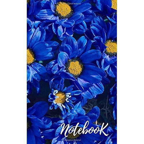 Notebook: Fancy Usefull Diary 65 Pages With Lines.