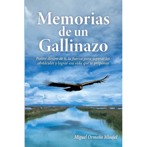Memorias De Un Gallinazo