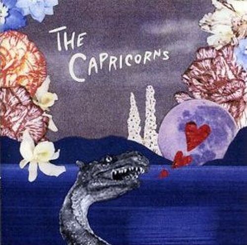 The Capricorns - Pure Magical Love