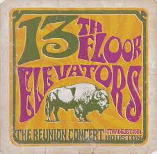 13th Floor Elevators - The Reunion Concert
