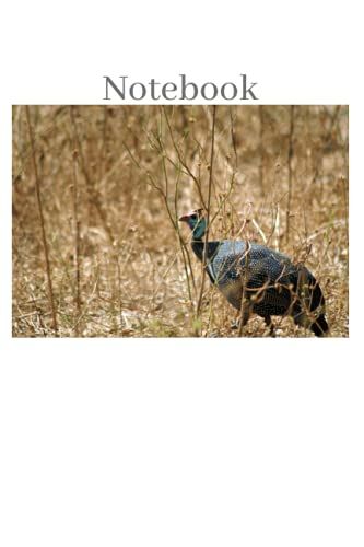 Notebook: Colorful Guineafowl Notebook, Wildlife Notebook, Safari Notebook, (Wildlife Notebooks And Safari Journals)