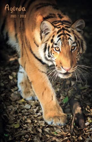Agenda Scolaire 2021 / 2022: Planificateur Scolaire Journalier Août 2021 À Juillet 2022 | Etudiants Collège Et Lycée | Magnifique Tigre