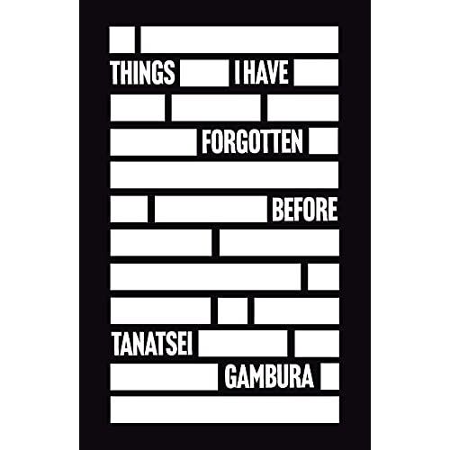 Things I Have Forgotten Before