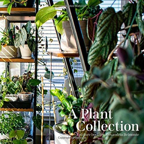 A Plant Collection: A Picture Book By Alexandria Belmonte