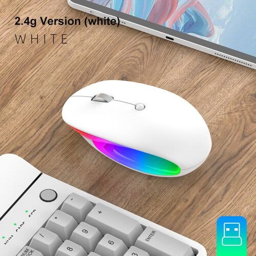 Souris Bluetooth Rechargeable pour ordinateur portable, accessoire silencieux et ergonomique, avec rétroéclairage USB