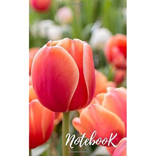 Notebook: Fancy Usefull Diary 65 Pages With Lines.