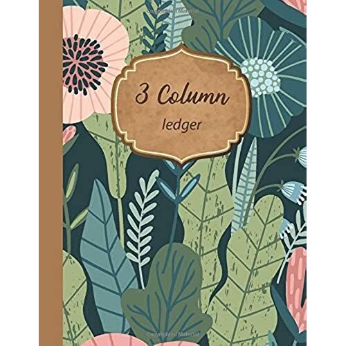 3 Column Ledger: Large Space 30 Row Easy Writing : Record Book Accounting Journal : Simple Cash Book, Expenses Financial Tracker, Notebook Bookkeeping : Small Bussiness / Home Office / School : 8.5"X1