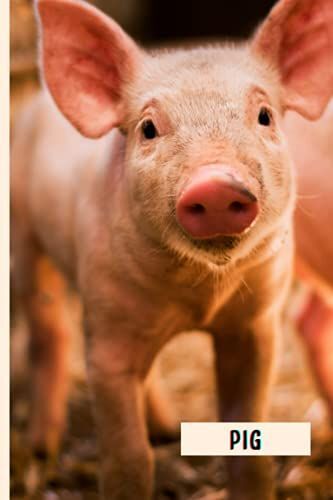 Pig: Funny Wide Ruled Notebook Gift For Pig Lovers - Perfect Pig Gift On Valentine Day/Birthday/Halloween - 6 X 9 Inches - 110 Lined Pages