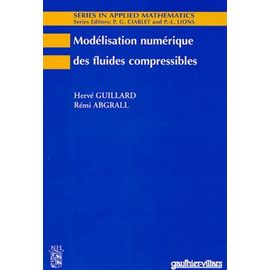 Modélisation Numérique Des Fluides Compressibles