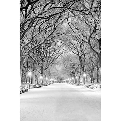 Notebook: A Quiet Evening In The City Park, Dotted Paper