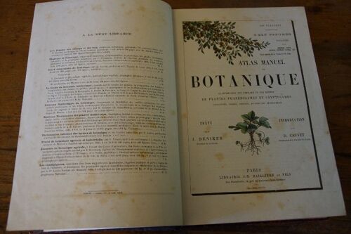 Atlas Manuel De Botanique