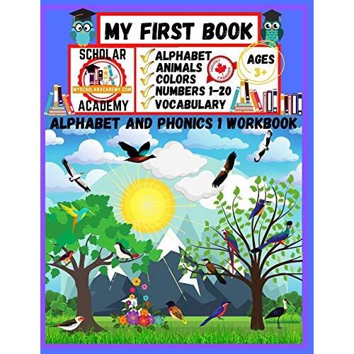 My First Book: The Alphabet And Phonics 1 Workbook (Scholar Academy)