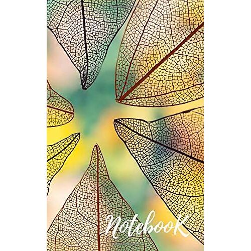 Notebook: Fancy Usefull Diary 65 Pages With Lines.