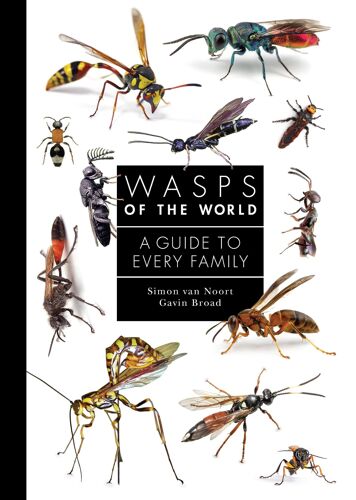 Wasps Of The World