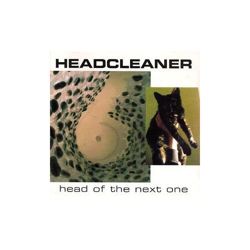 Head Of The Next One