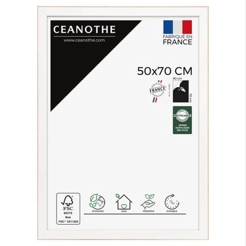 Cadre photo Newton brut 50x70 cm