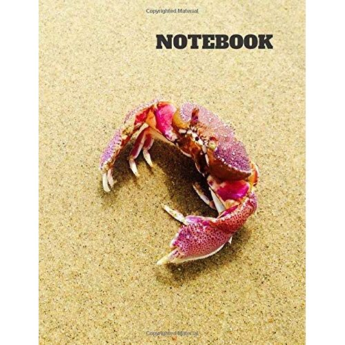 Notebook: Blank Notebook - Large (8.5" X 11") - 150 Unlined Pages - Crab On Beach Cover