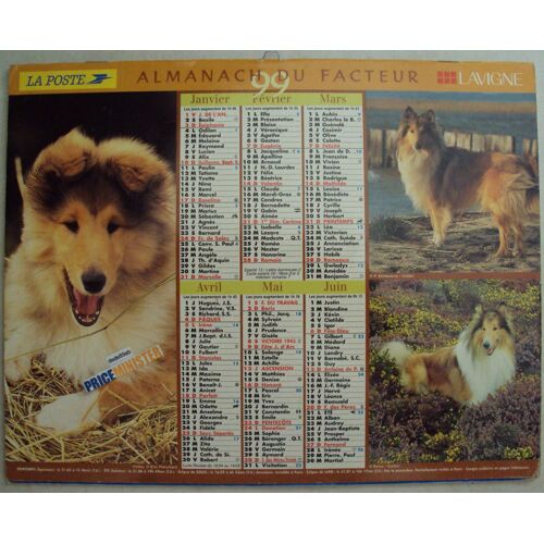 Almanach Du Facteur Lavigne 1999 . Colley Et Fox Terrier.