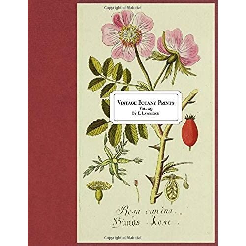 Vintage Botany Prints: Vol. 29