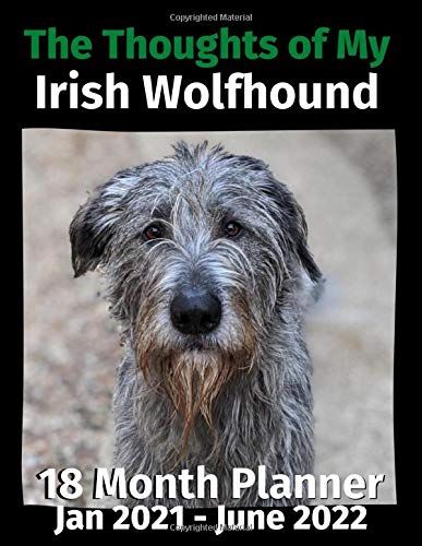 The Thoughts Of My Irish Wolfhound: 18 Month Planner Jan 2021-June 2022